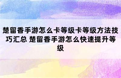 楚留香手游怎么卡等级卡等级方法技巧汇总 楚留香手游怎么快速提升等级